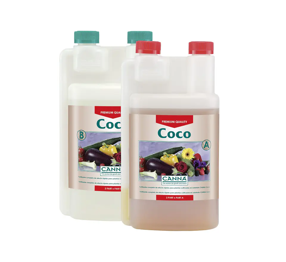 Coco A + B -Canna 3