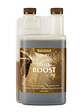 Bio Boost 1Lt-Canna - Miniatura 1