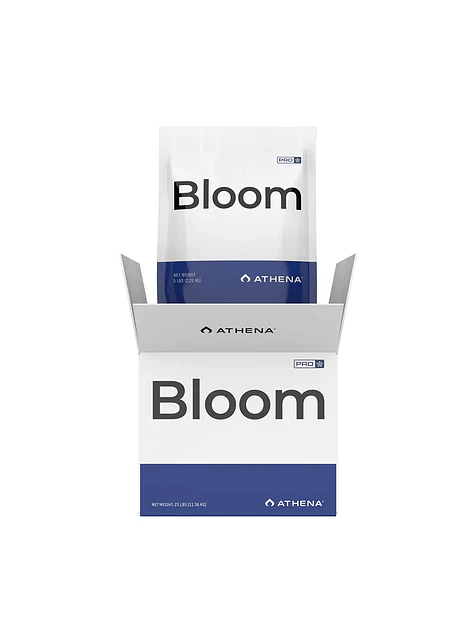 Pro Line Bloom  (Box)- Athena 1