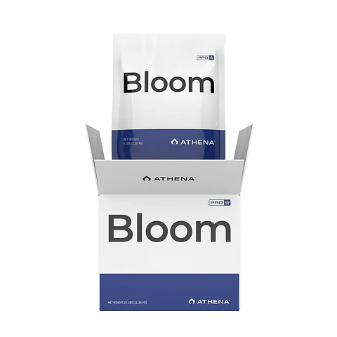 Pro Line Bloom  (Box)- Athena