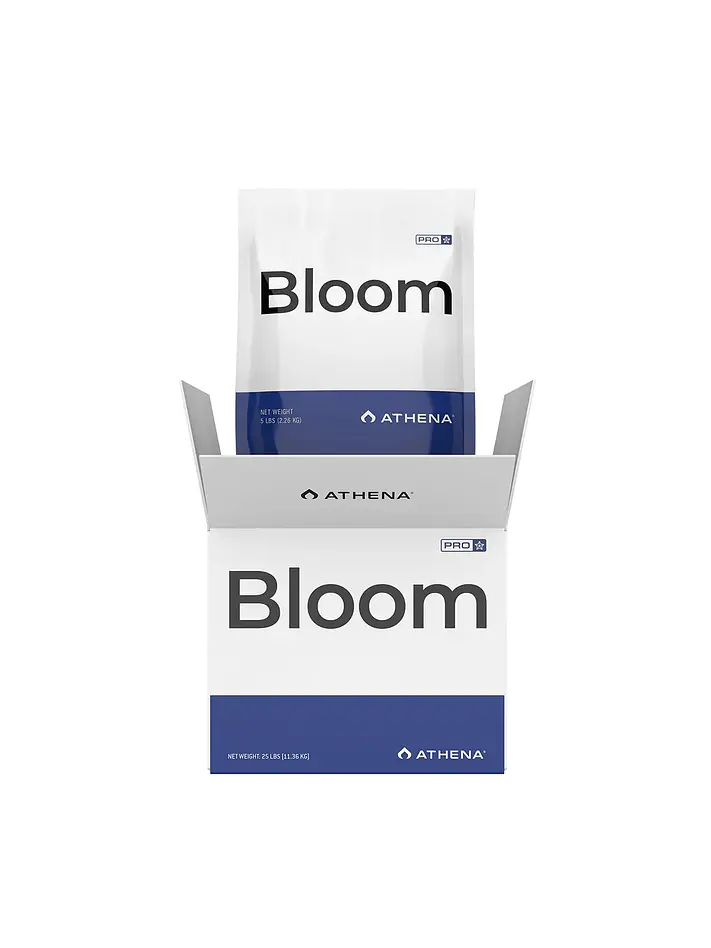 Pro Line Bloom  (Box)- Athena 1