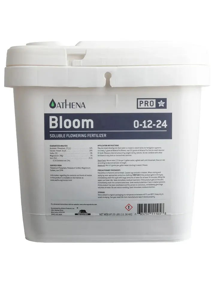 Pro Line Bloom -Athena 1