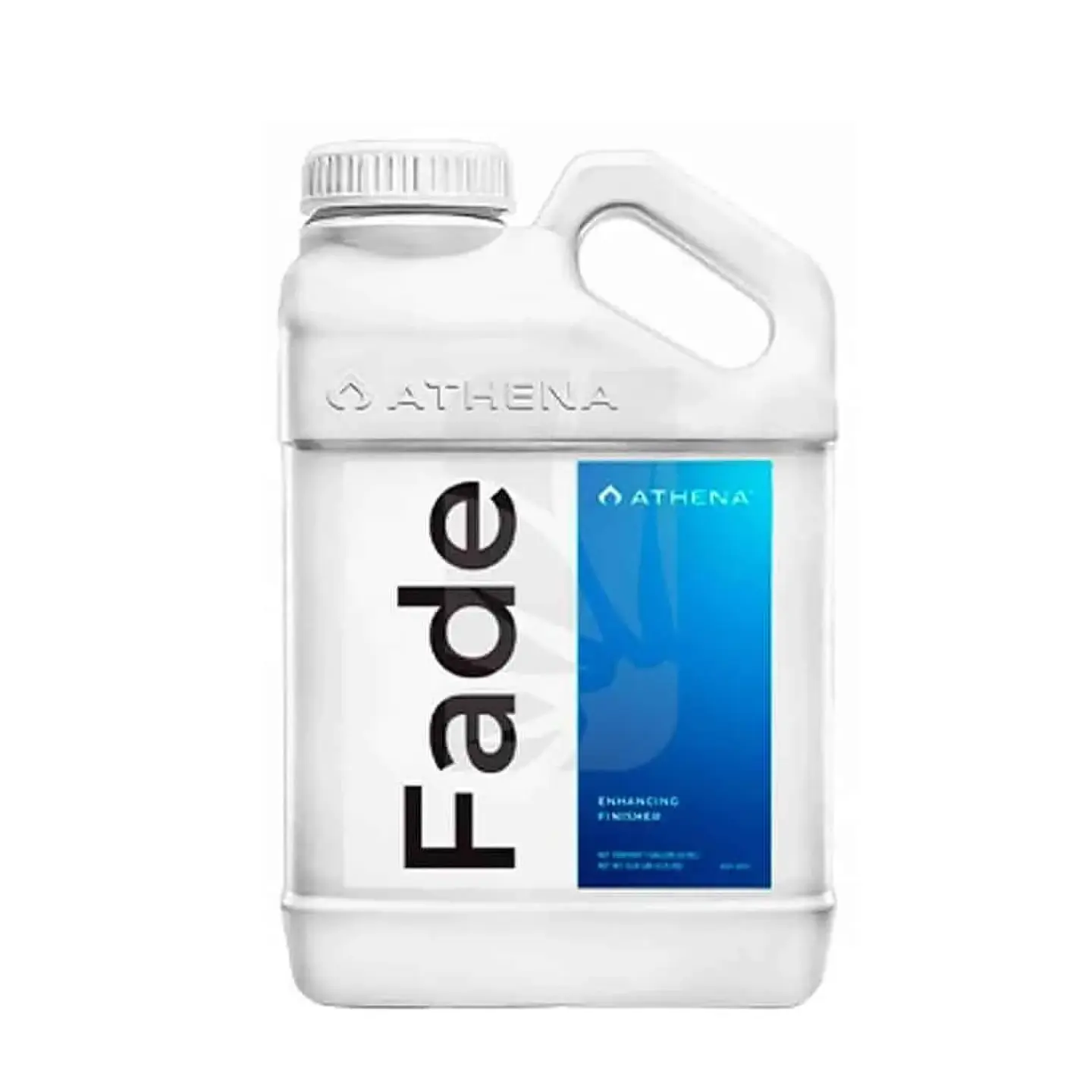 Fade-Athena (1/3.75 LT) 1