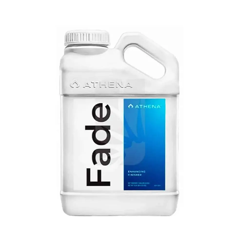 Fade-Athena (1/3.75 LT) 1