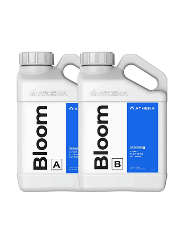 BLOOM A+B 3.75LT-ATHENA 1