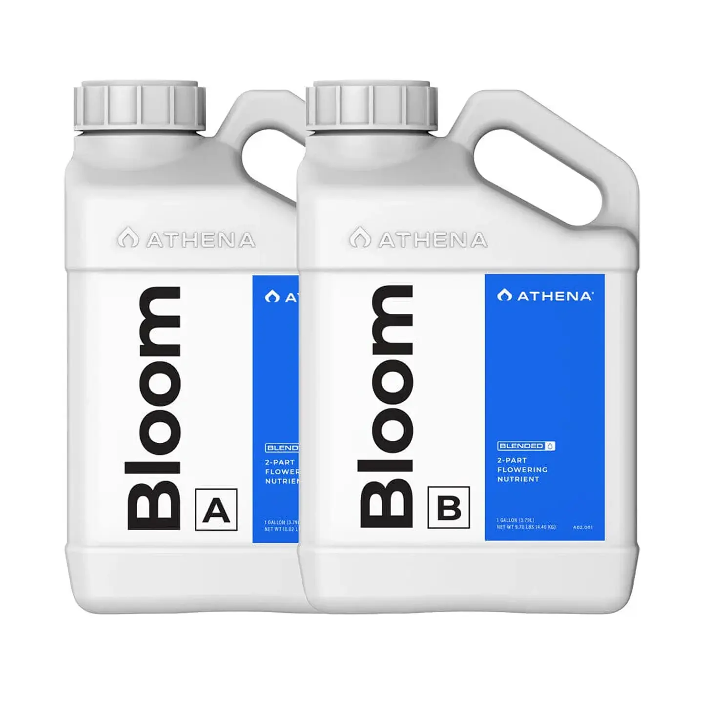 Bloom A+B -Athena 1
