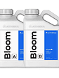 BLOOM A+B 3.75LT-ATHENA - Miniatura 1