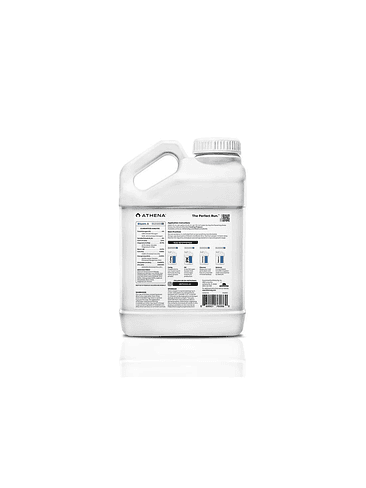 BLOOM A+B 3.75LT-ATHENA 3