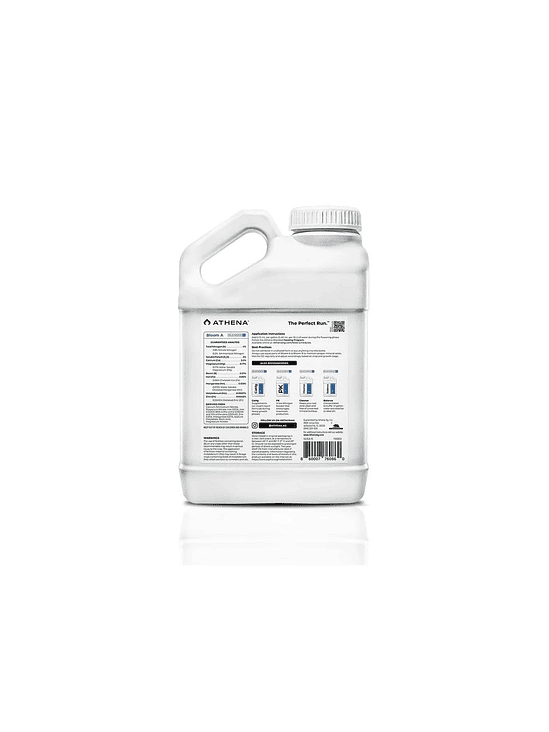 BLOOM A+B 3.75LT-ATHENA 3