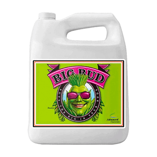 BIG BUD 4LT-ADVANCED NUTRIENTS