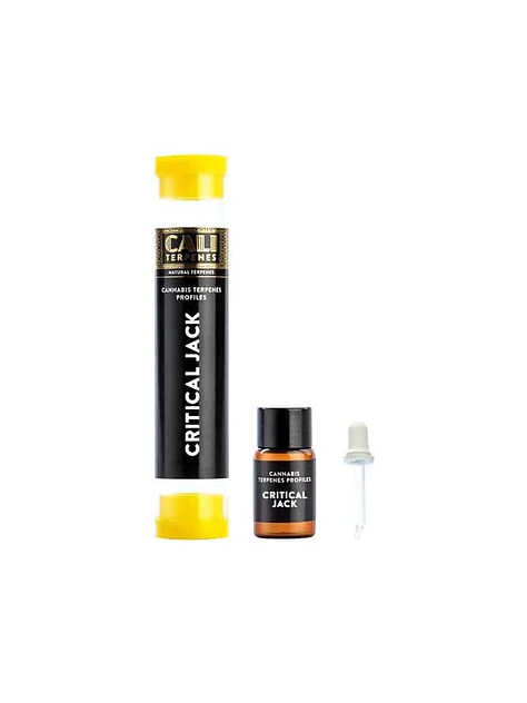 Critical Jack 1Ml-Cali Terpens 1