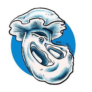 ALBINO TIDAL WAVE - 2 JERINGAS DE ESPORAS 5ML-MANTUN