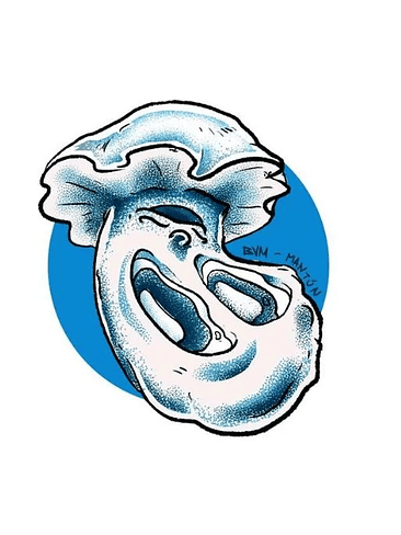 ALBINO TIDAL WAVE - 2 JERINGAS DE ESPORAS 5ML-MANTUN 1