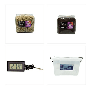 KIT PRIMORDIO 10LT-MANTUN