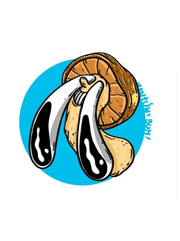 KIT PRIMORDIO 10LT-MANTUN 4