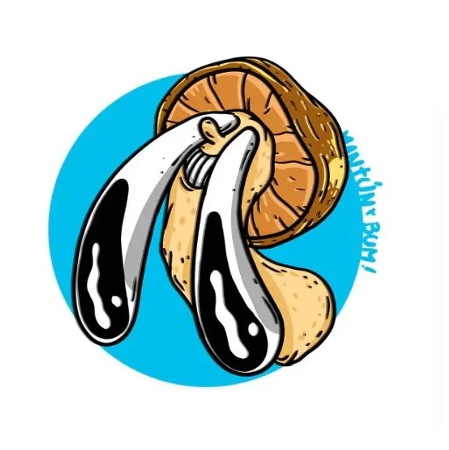Kit Mantun 28 Lt-Mantun 3