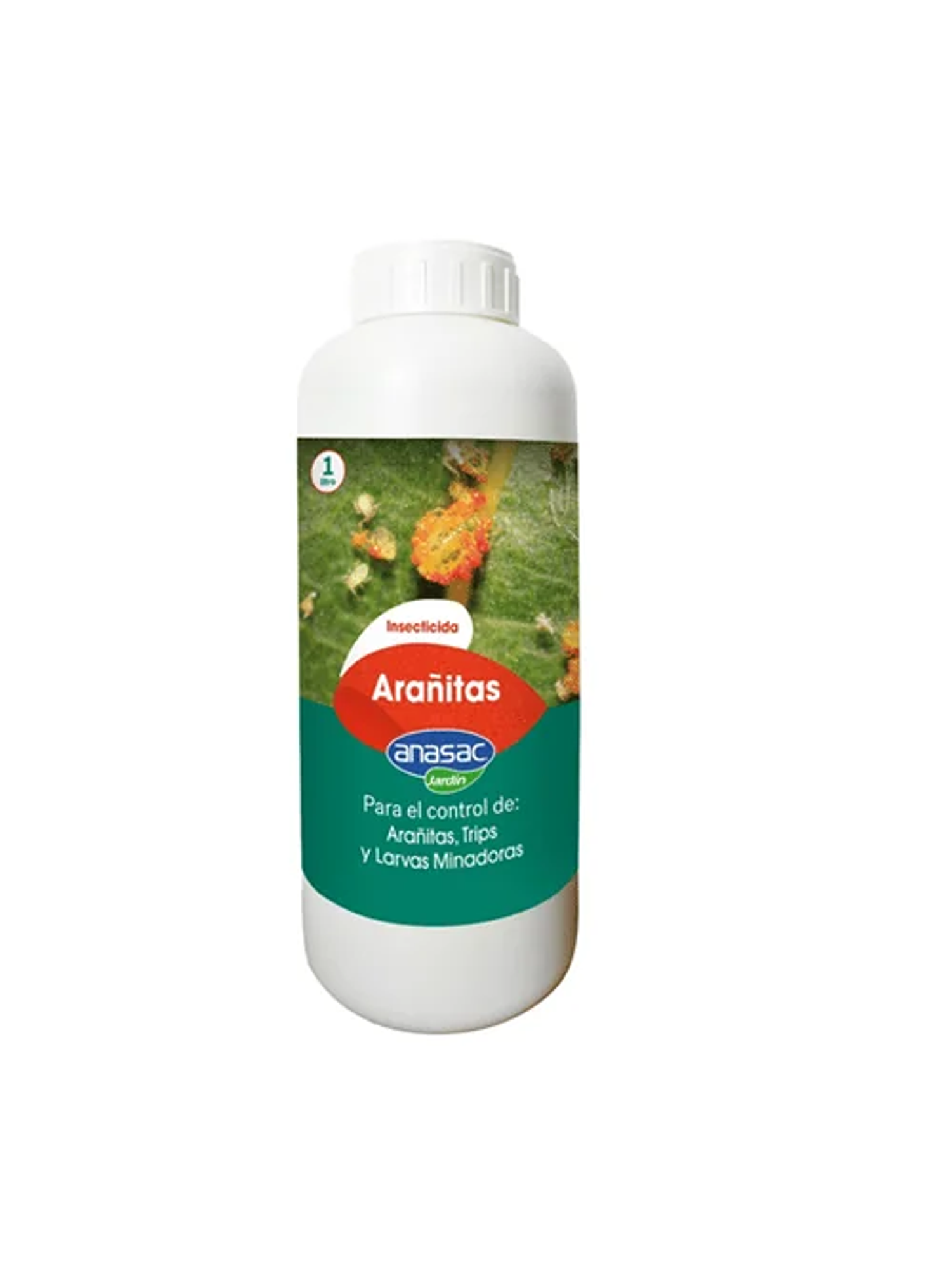 Arañitas Green Line -Anasac 1