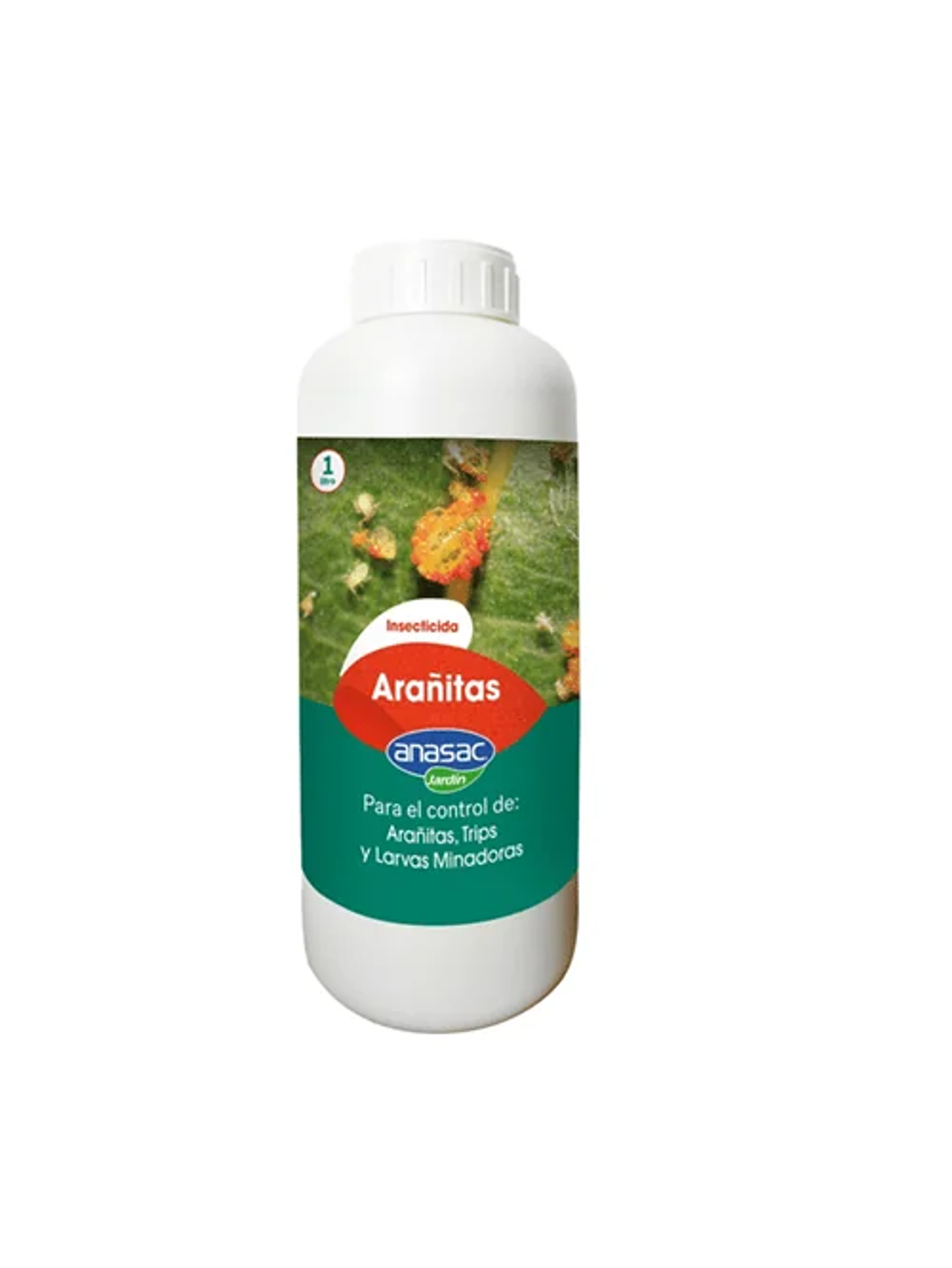 Arañitas Green Line -Anasac 1