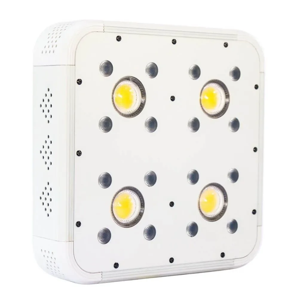 Apollo Evolution 4 127W-Delight 1