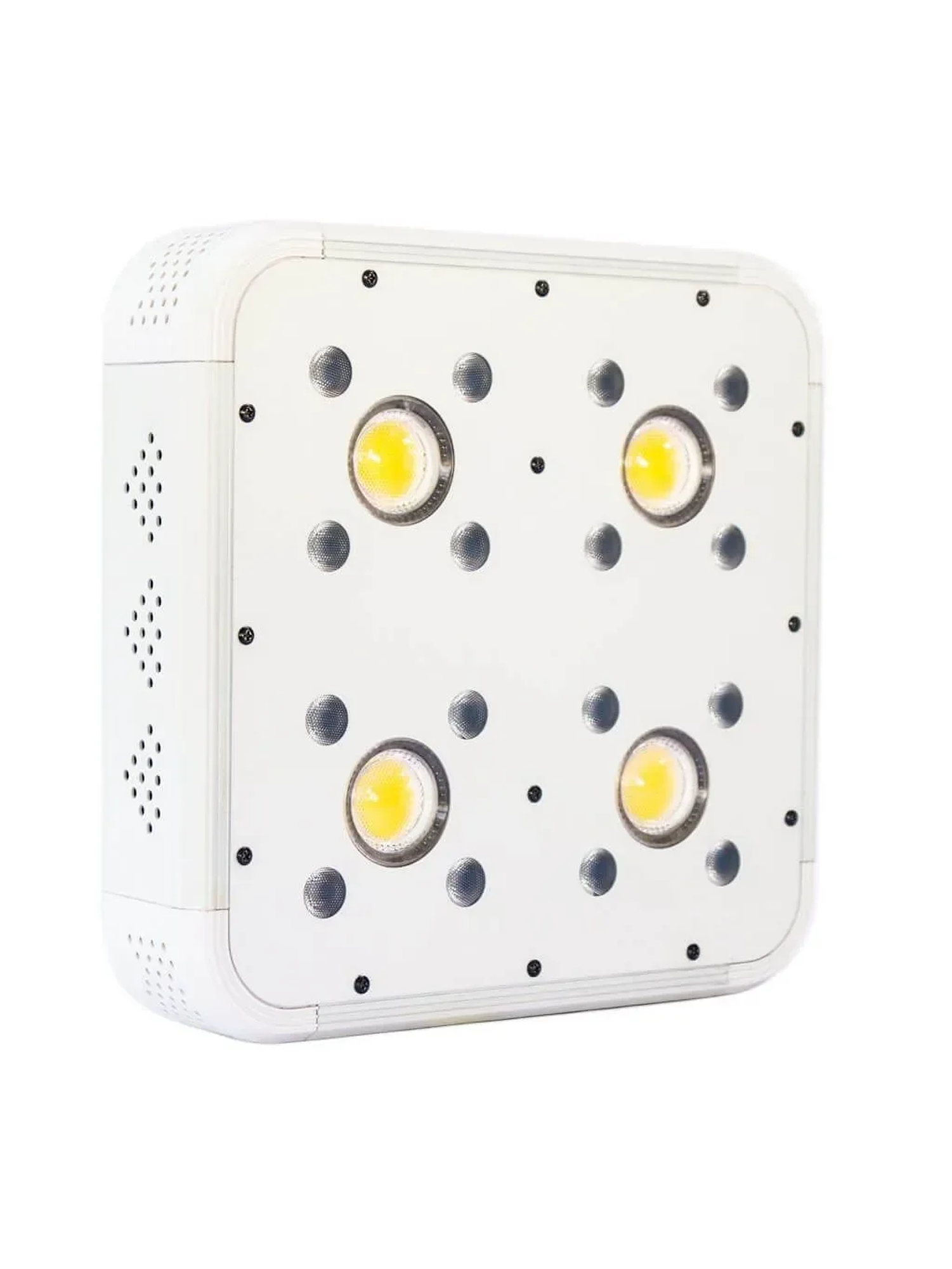 Apollo Evolution 4 127W-Delight 1