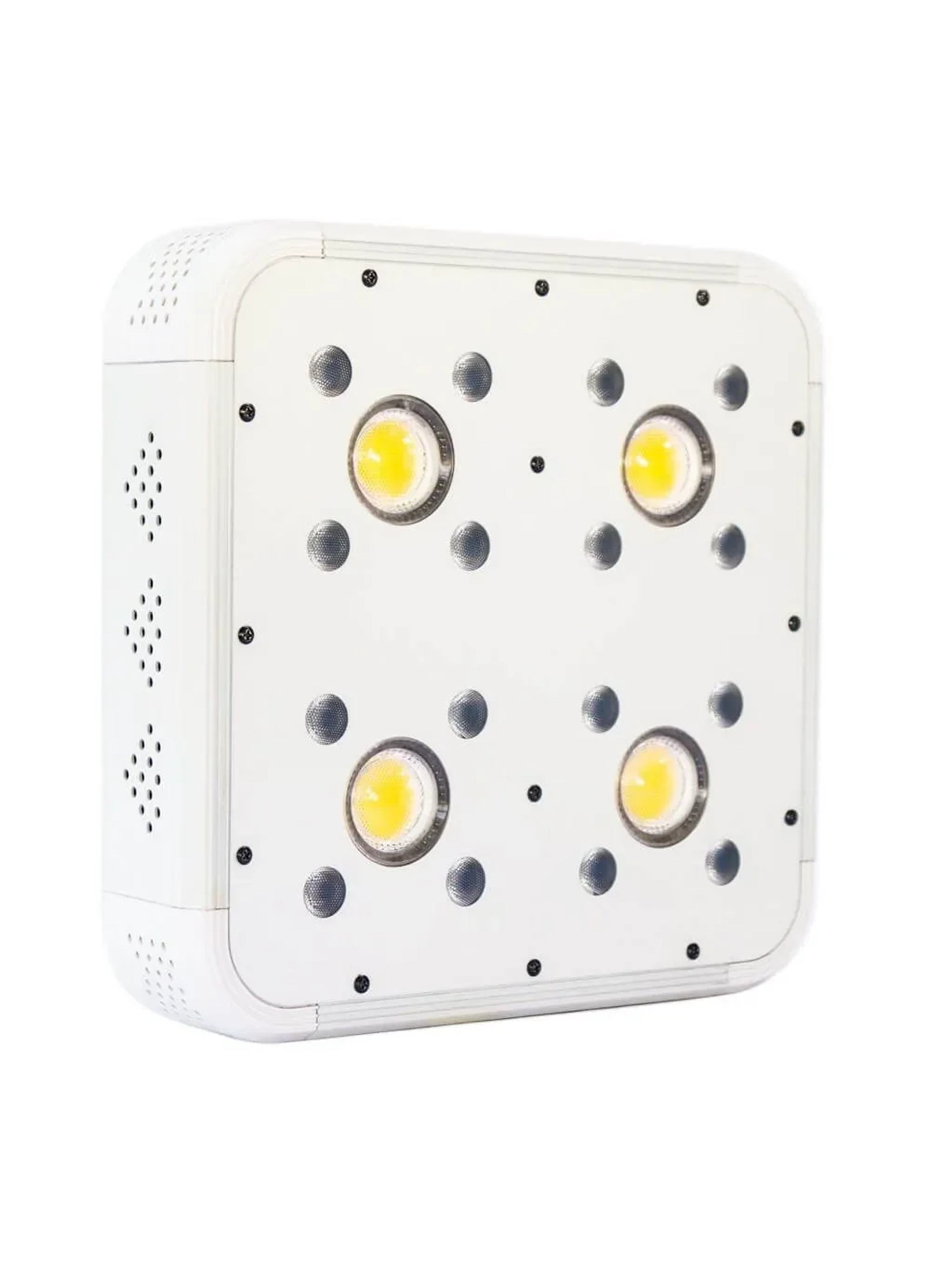 Apollo Evolution 4 127W-Delight 1