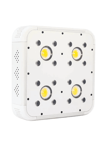 APOLLO EVOLUTION 4 127W-DELIGHT 1