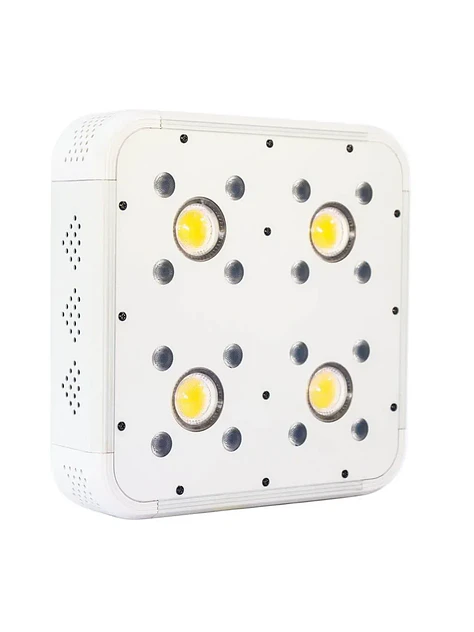 Apollo Evolution 4 127W-Delight 1