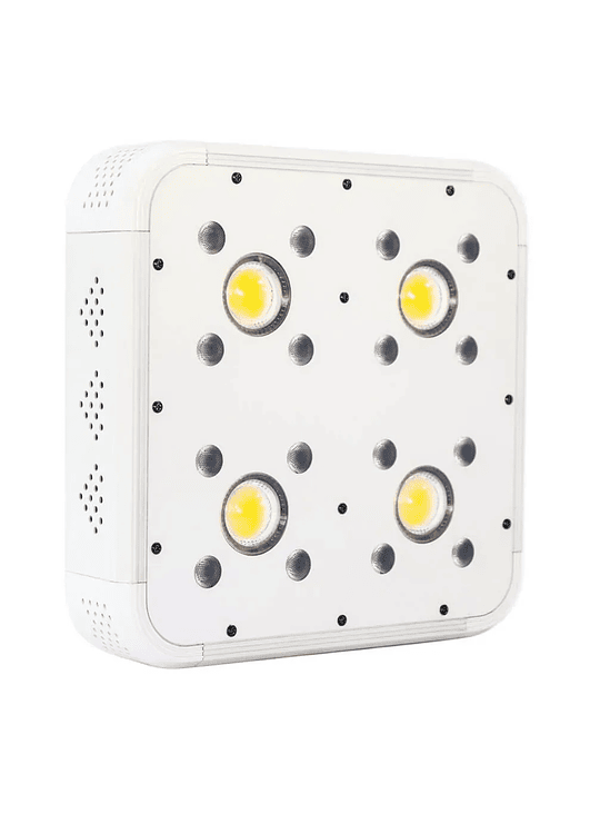 APOLLO EVOLUTION 4 127W-DELIGHT 1