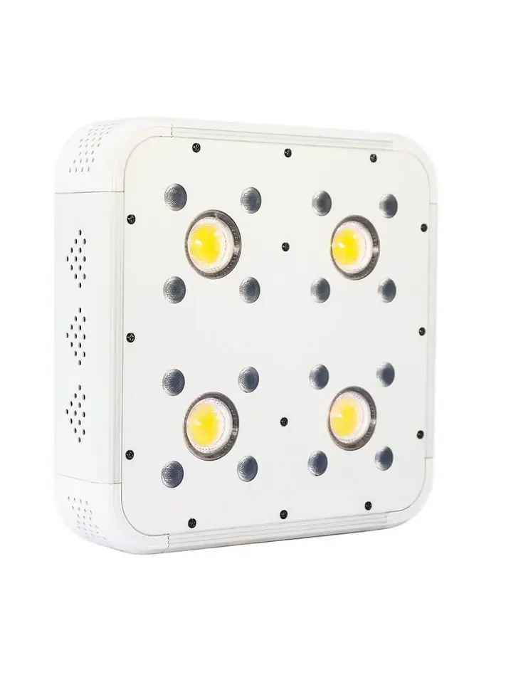 Apollo Evolution 4 127W-Delight 1