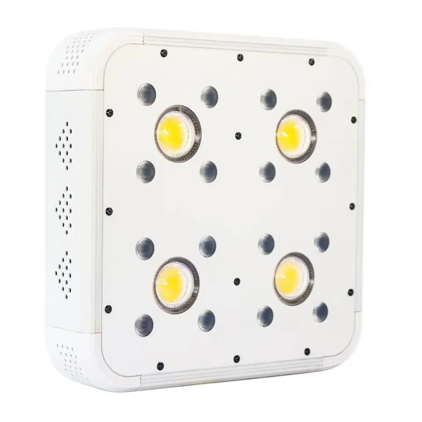 Apollo Evolution 4 127W-Delight 1