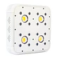 Apollo Evolution 4 127W-Delight - Miniatura 1