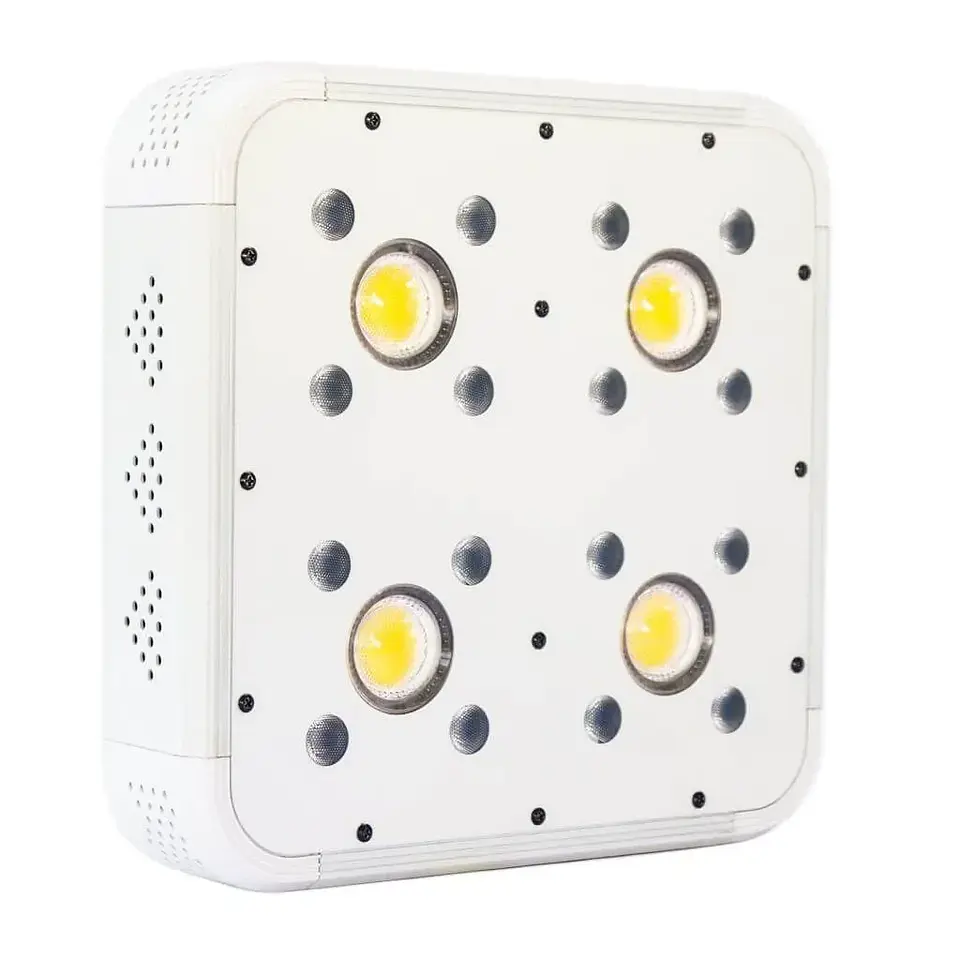 Apollo Evolution 4 127W-Delight 1