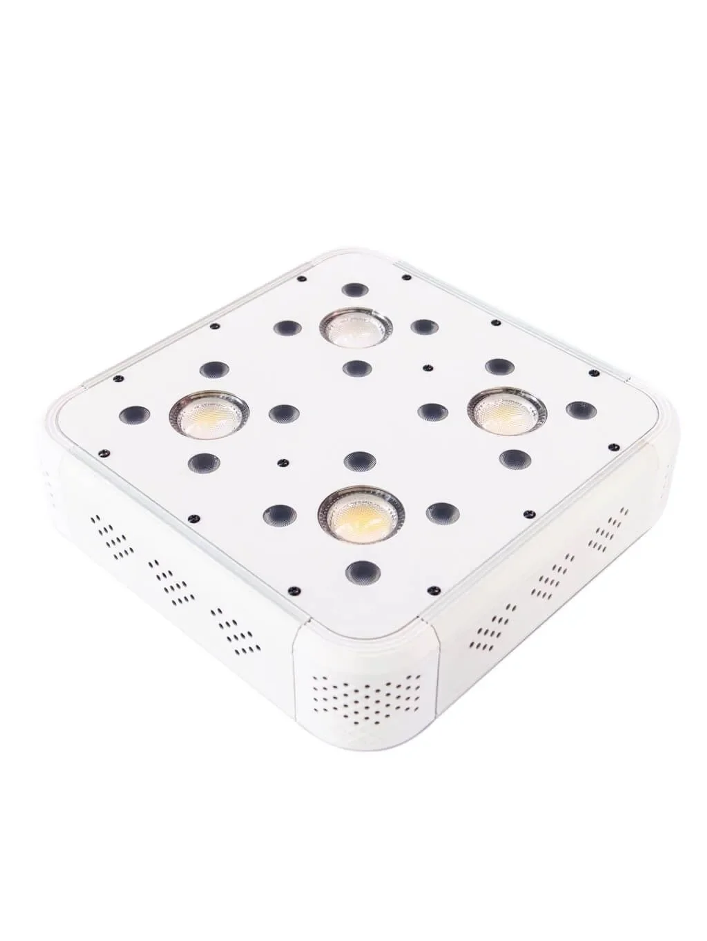 Apollo Evolution 4 127W-Delight 4