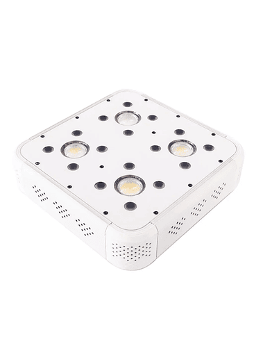 APOLLO EVOLUTION 4 127W-DELIGHT 4