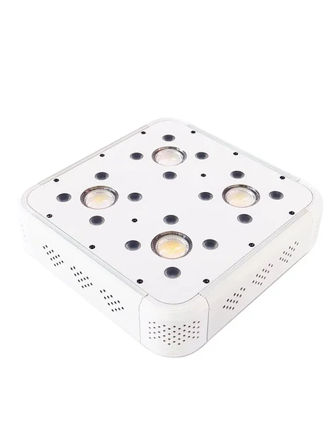 Apollo Evolution 4 127W-Delight 4