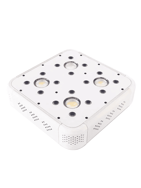 APOLLO EVOLUTION 4 127W-DELIGHT 4