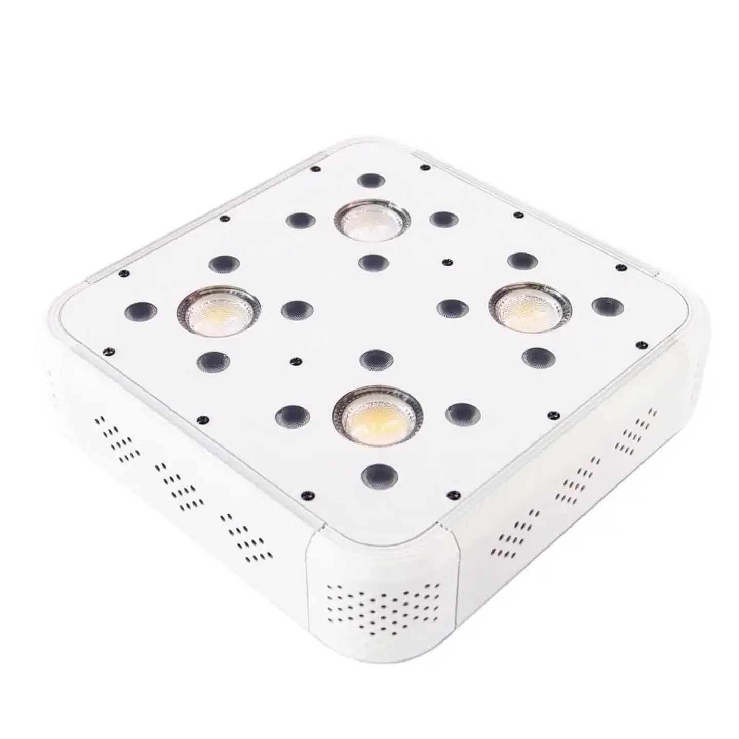 Apollo Evolution 4 127W-Delight 4