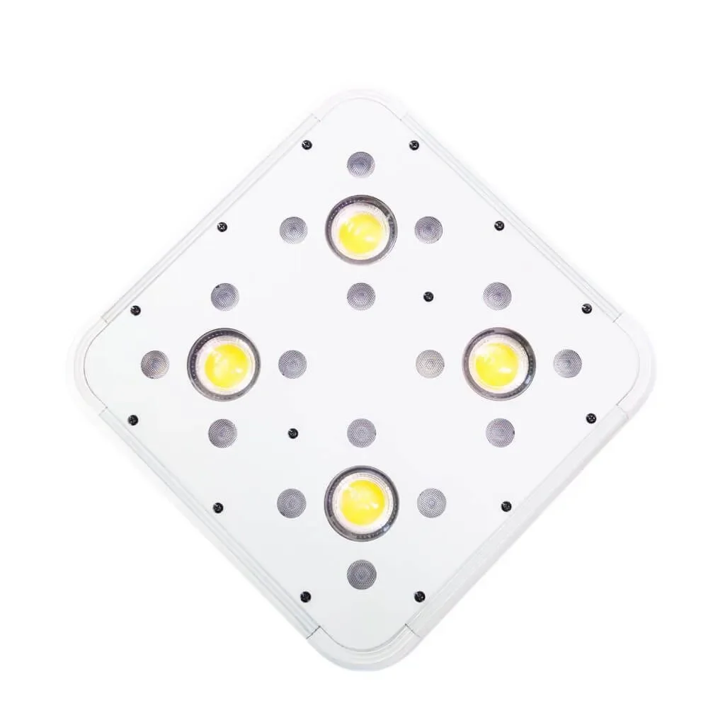 Apollo Evolution 4 127W-Delight 3