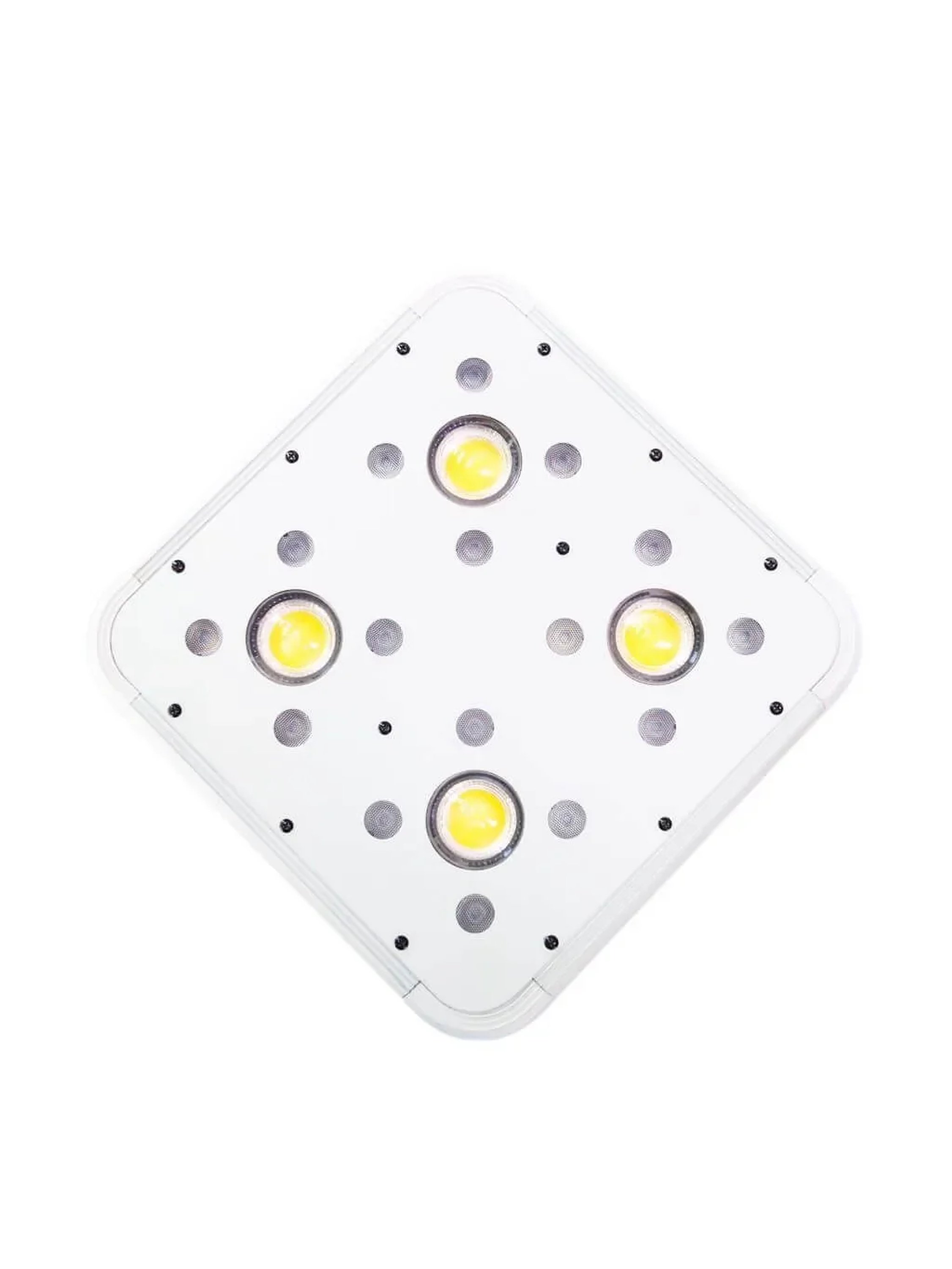 Apollo Evolution 4 127W-Delight 3