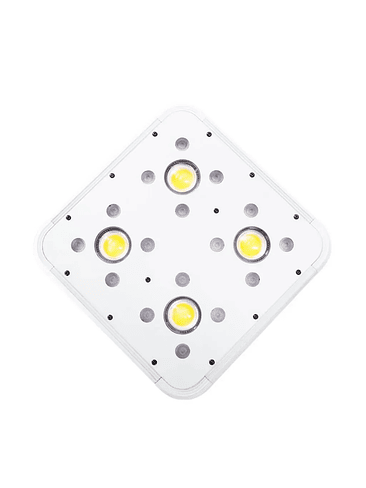 APOLLO EVOLUTION 4 127W-DELIGHT 3