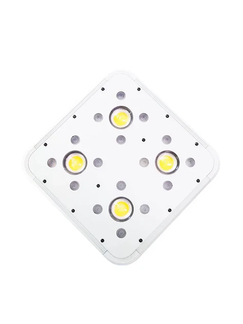 Apollo Evolution 4 127W-Delight 3