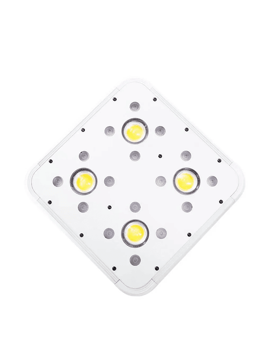 APOLLO EVOLUTION 4 127W-DELIGHT 3