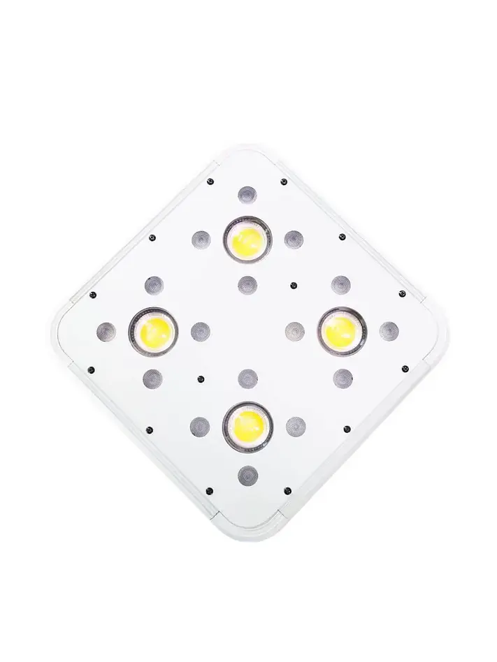 Apollo Evolution 4 127W-Delight 3