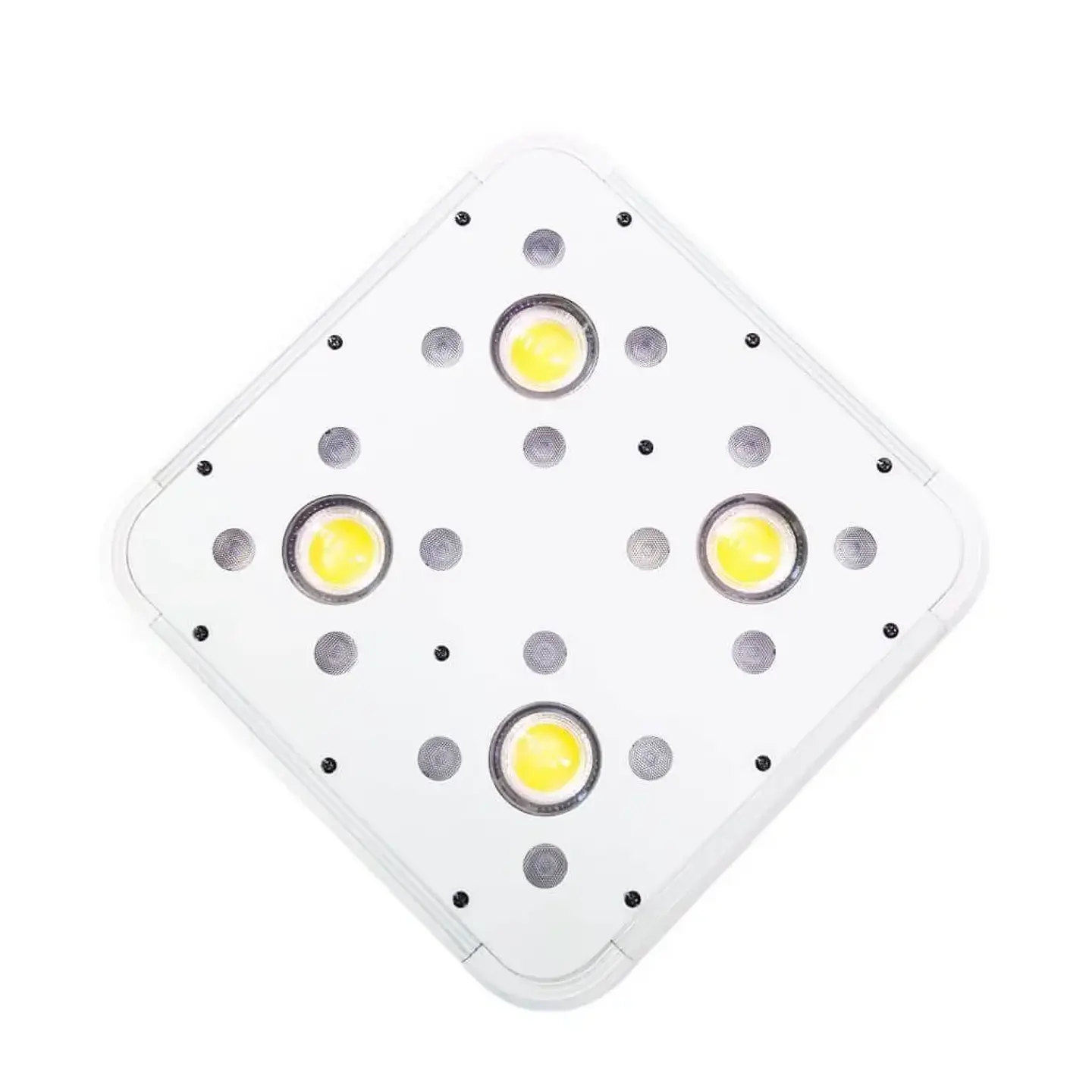 Apollo Evolution 4 127W-Delight 3