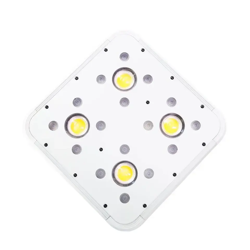 Apollo Evolution 4 127W-Delight 3