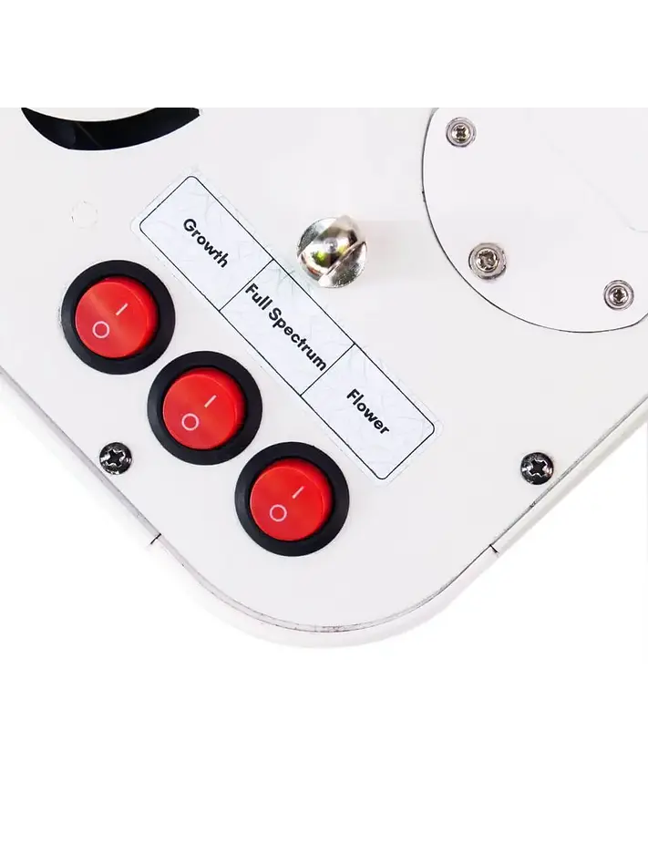 Apollo Evolution 4 127W-Delight 5