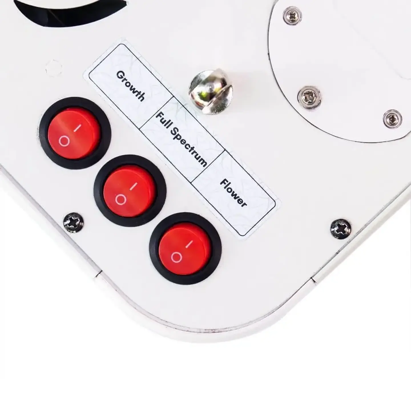 Apollo Evolution 4 127W-Delight 5