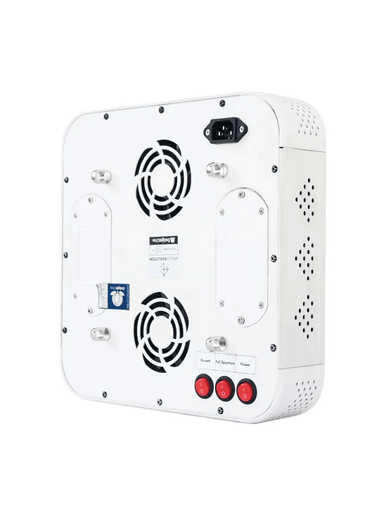 APOLLO EVOLUTION 4 127W-DELIGHT 2