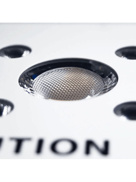 APOLLO EVOLUTION 4 127W-DELIGHT 6