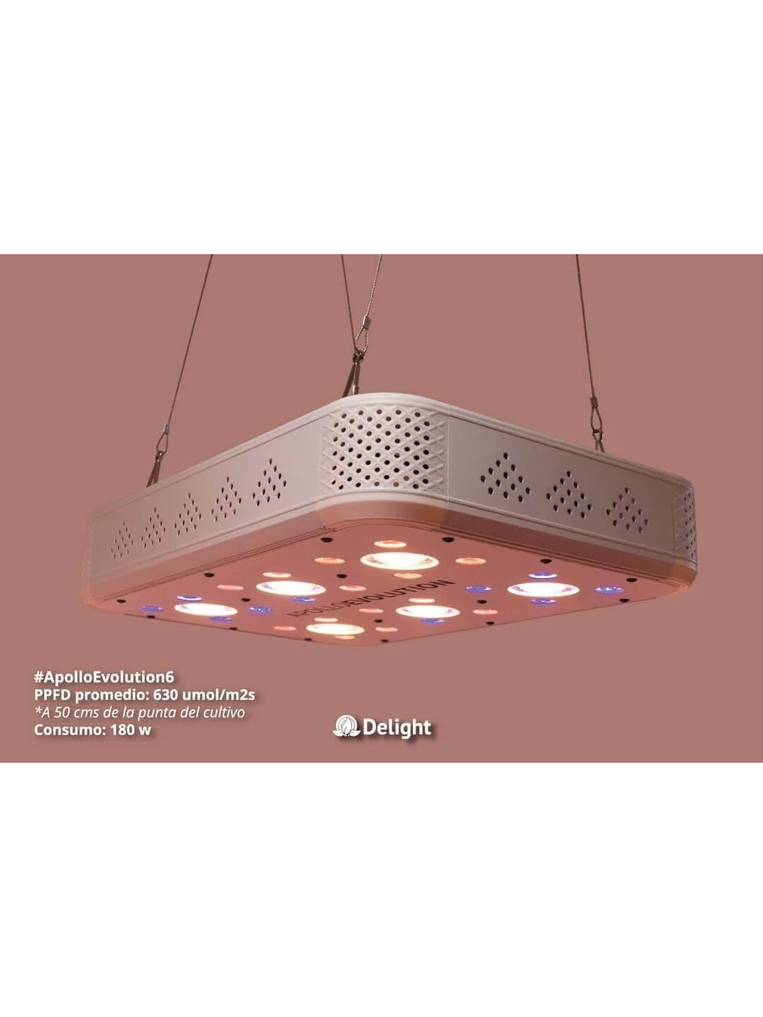 Apollo Evolution 6 180W-Delight 2